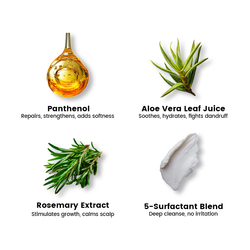 Alra 3 Pack Mild Conditioning Shampoo